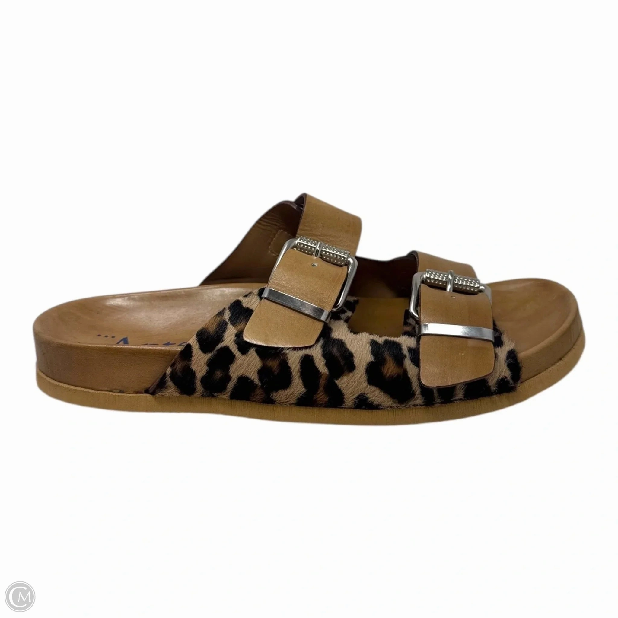 Leopard Buckle Sandals Flats By Antenora In Animal Print, Size: 9