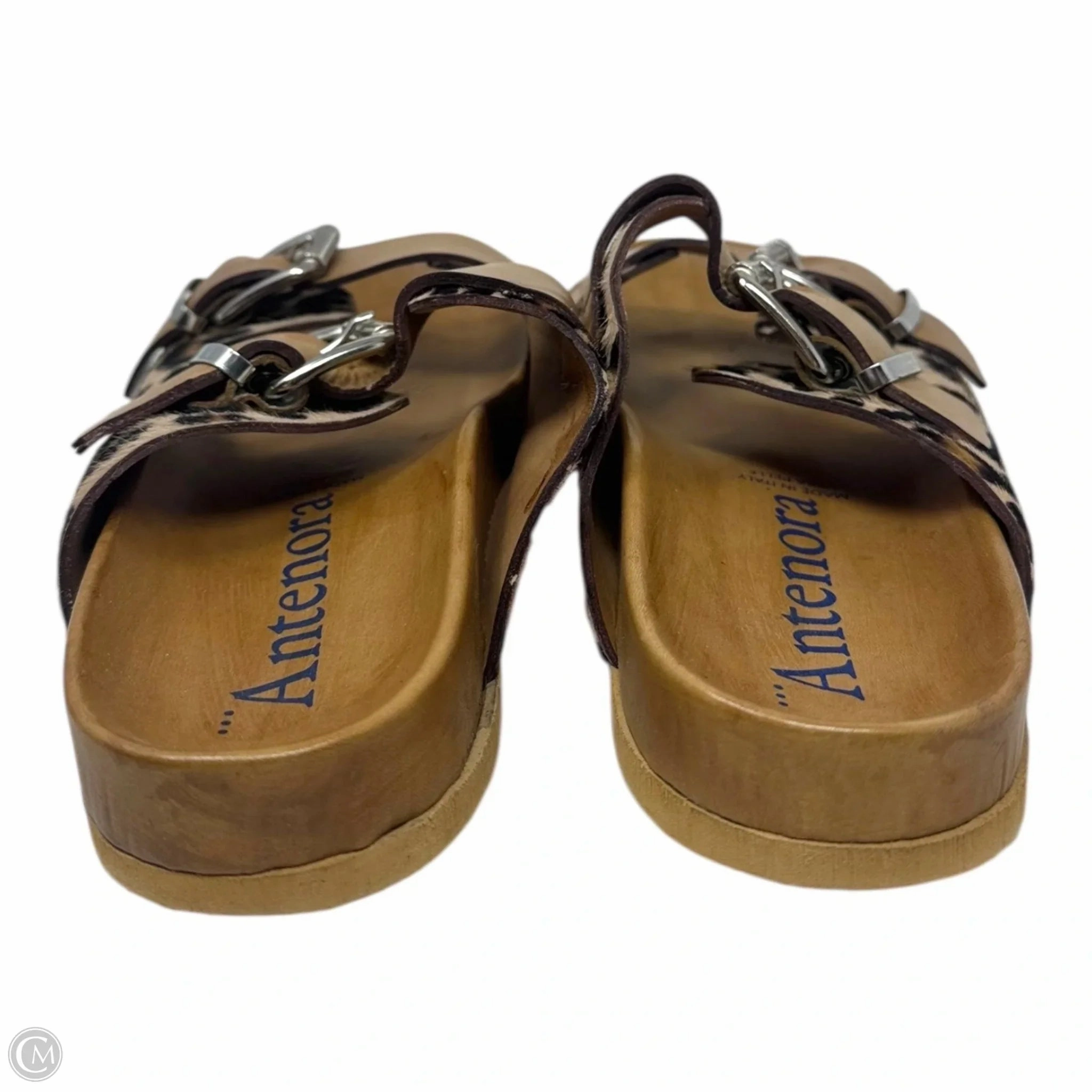 Leopard Buckle Sandals Flats By Antenora In Animal Print, Size: 9