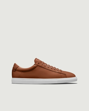 Low 1 | Lion (Orthopedic)