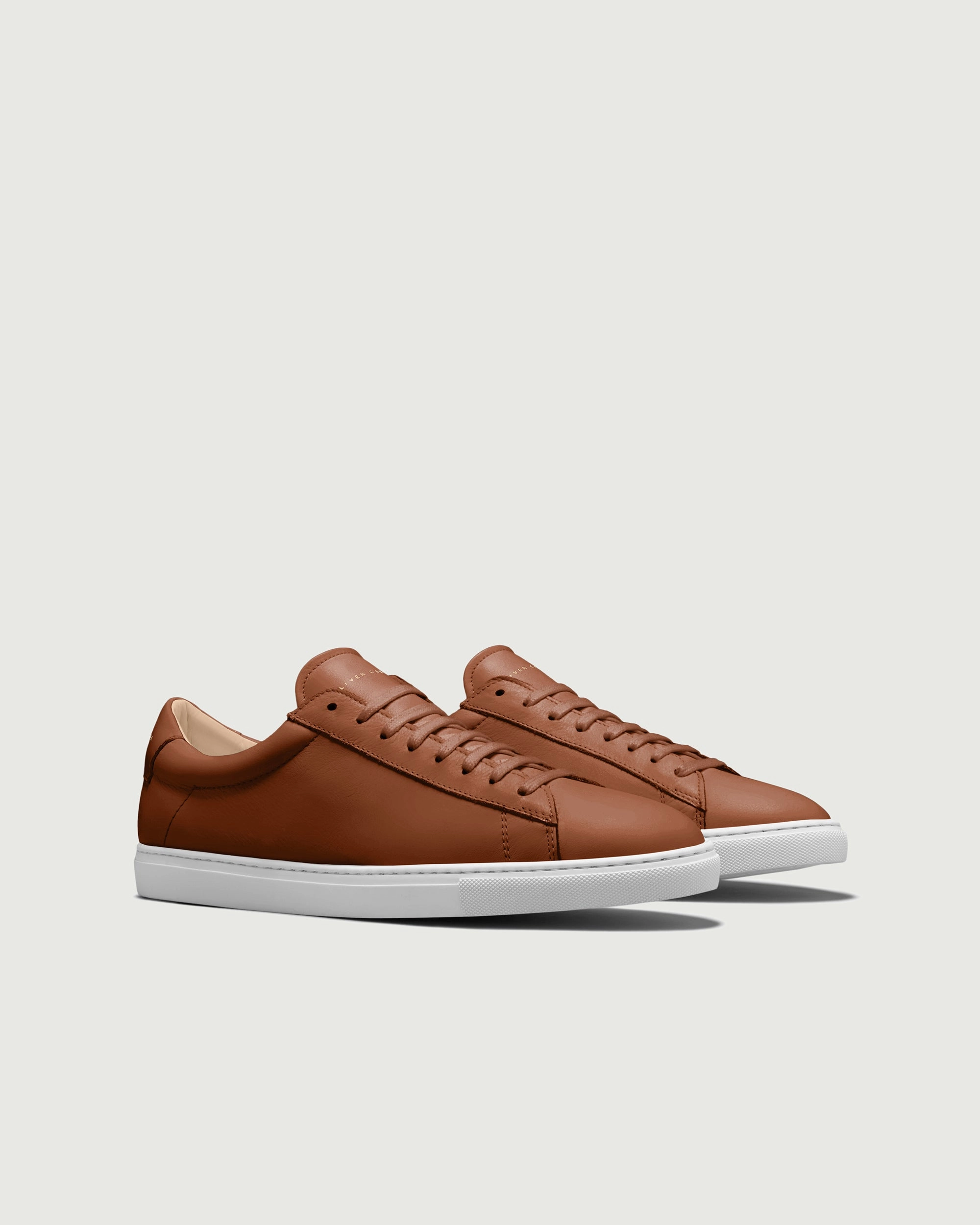 Low 1 | Lion (Orthopedic)