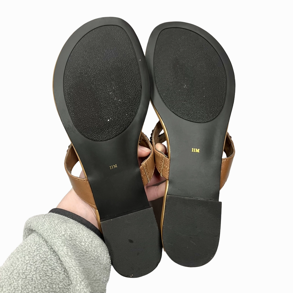 Sandals Flats By Ann Marino  Size: 11