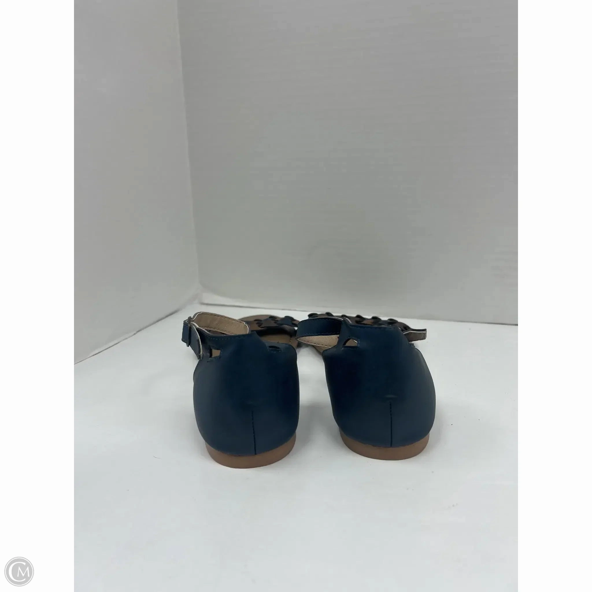 Sandals Flats By Clothes Mentor In Blue, Size: 8