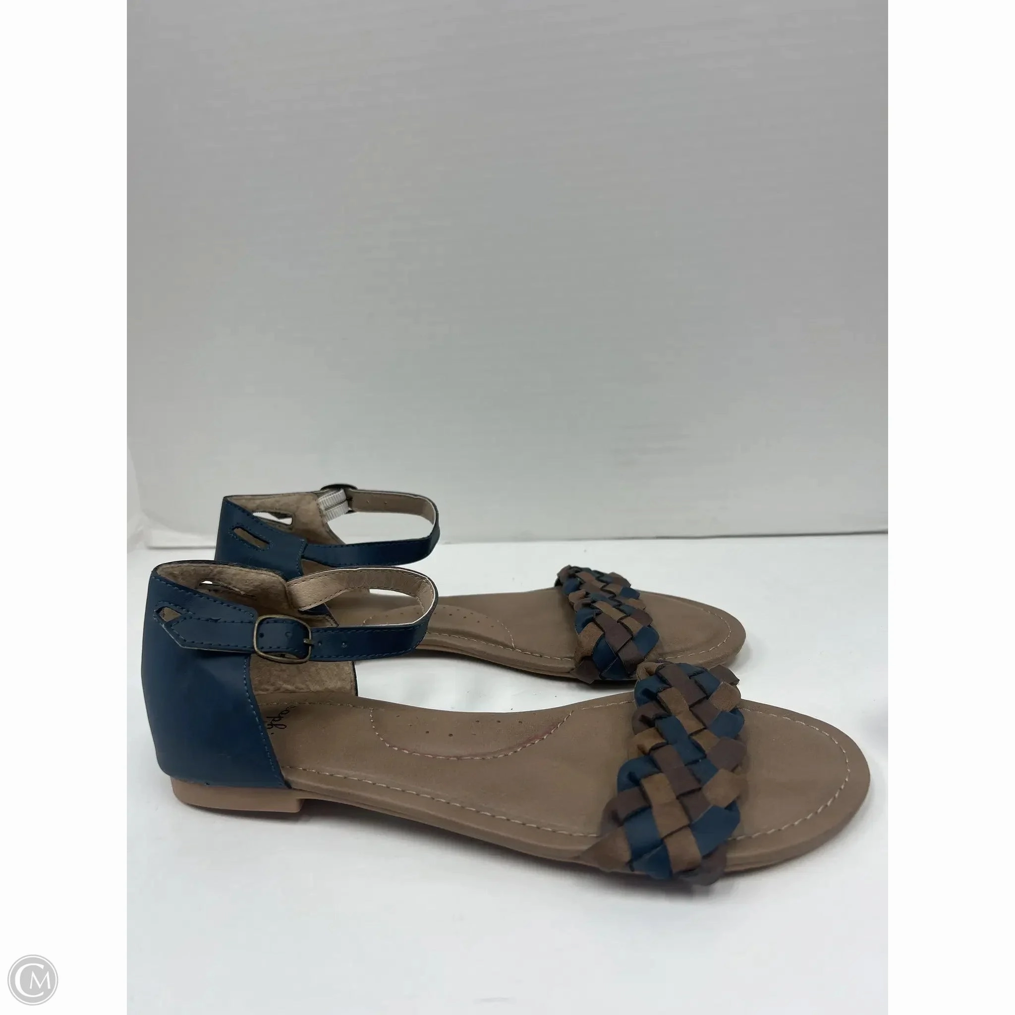 Sandals Flats By Clothes Mentor In Blue, Size: 8