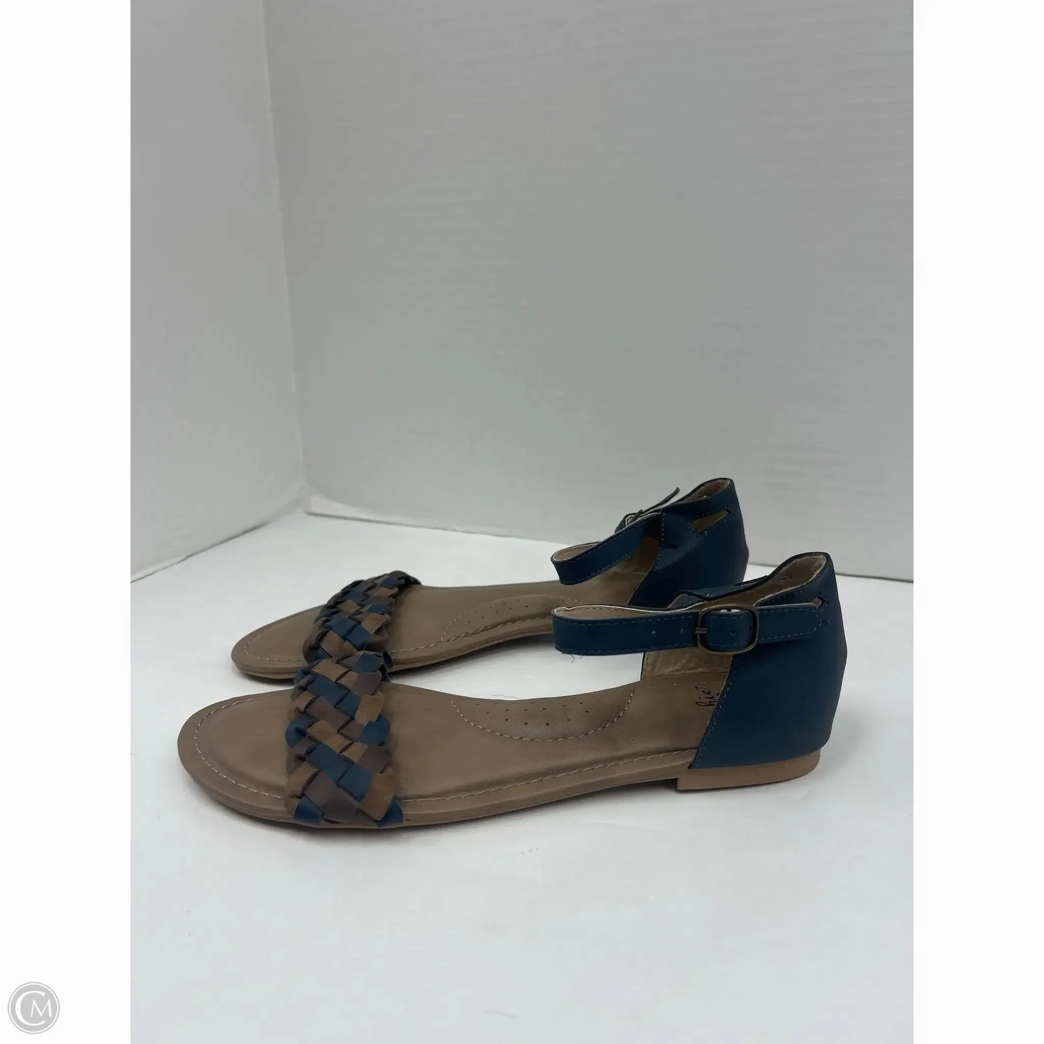 Sandals Flats By Clothes Mentor In Blue, Size: 8