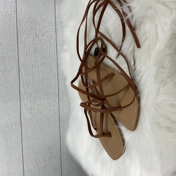Sandals Flip Flops By Altard State In Brown, Size: 8
