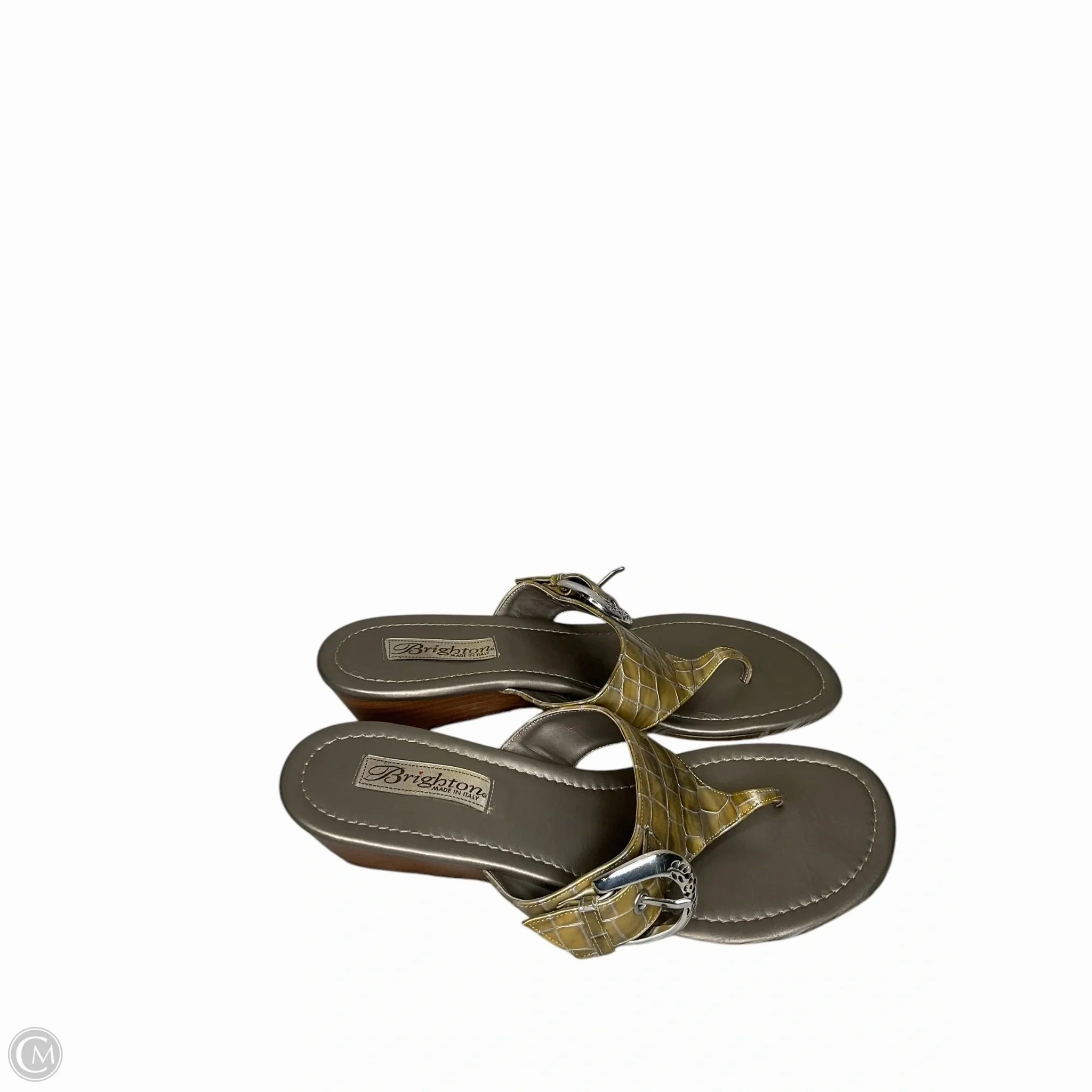 Sandals Flip Flops By Brighton In Green & Silver, Size: 8.5
