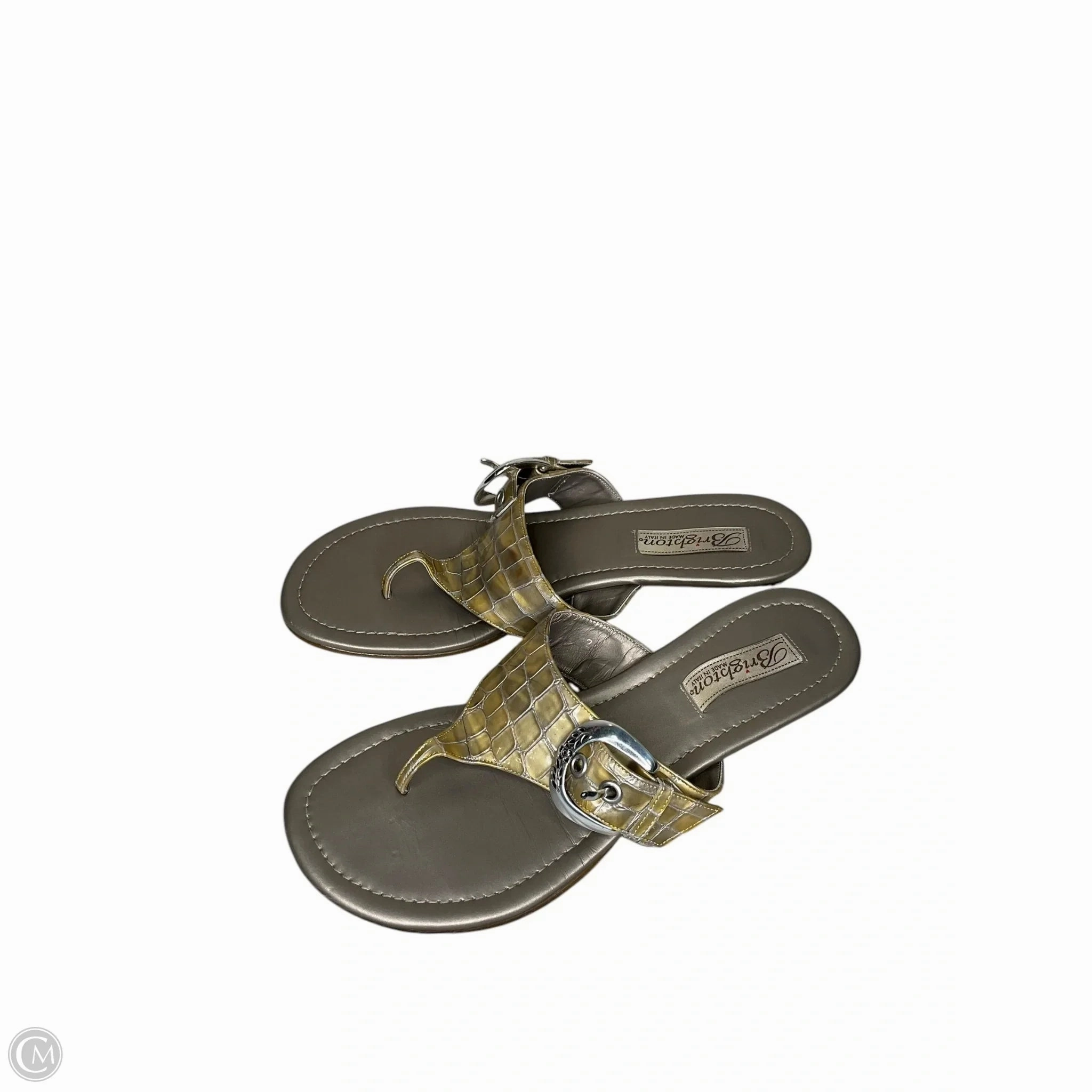Sandals Flip Flops By Brighton In Green & Silver, Size: 8.5
