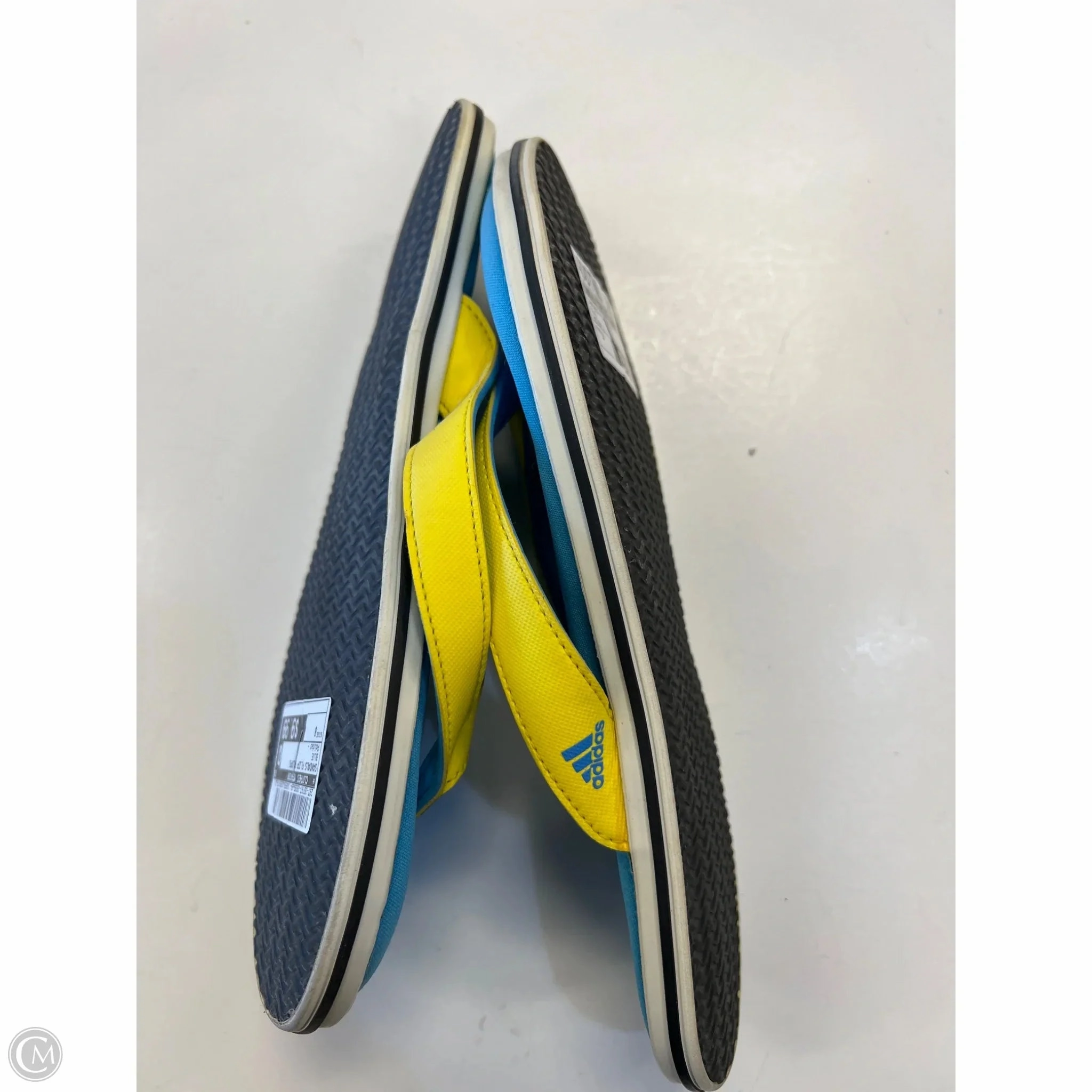 Sandals Flip Flops By Clothes Mentor In Blue, Size: 8
