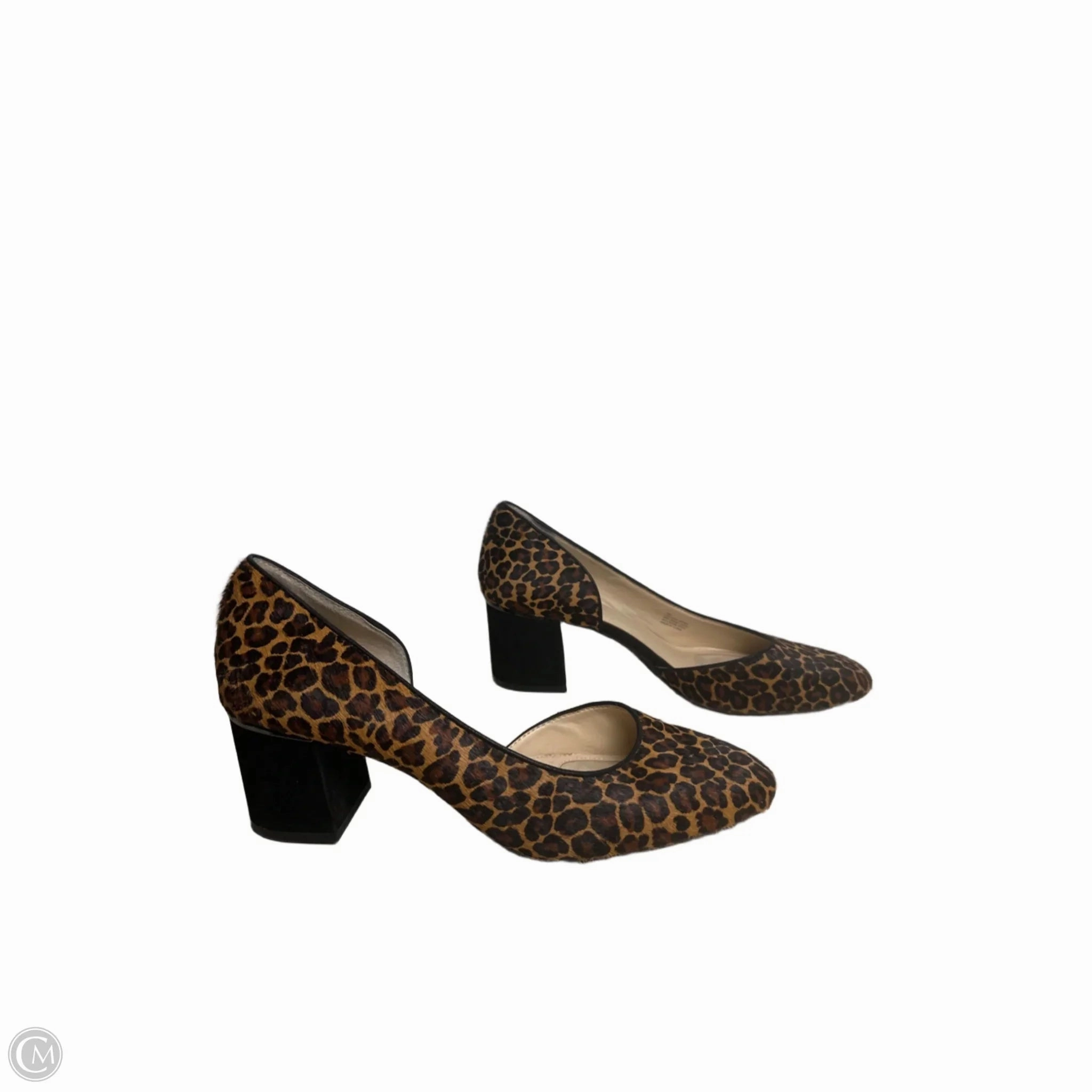 Shoes Heels Block By Alex Marie In Leopard Print, Size: 10